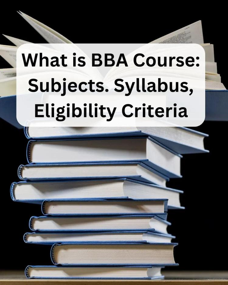 bba subjects