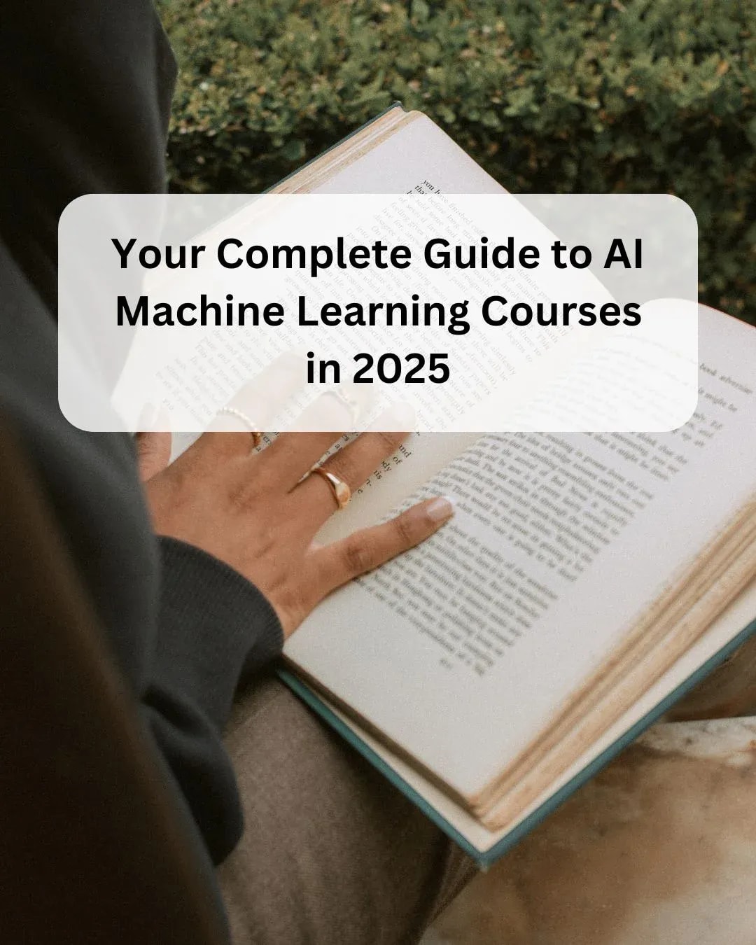AI machine learning courses