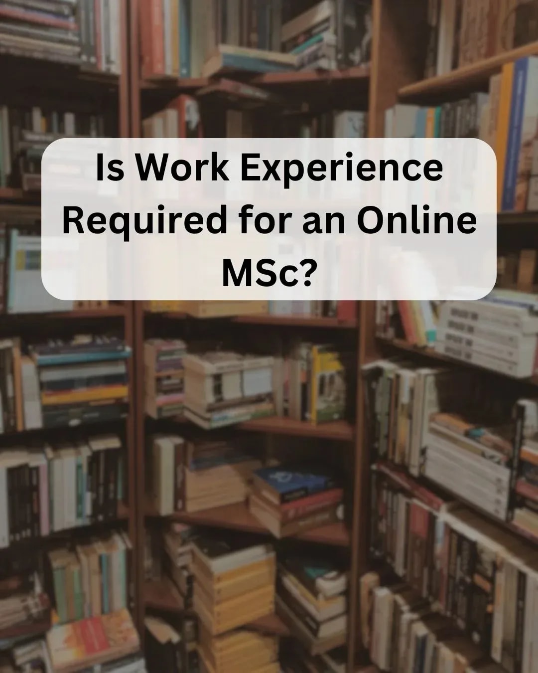 Online M.Sc. work experience