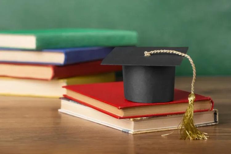 Amity Online CUET Syllabus 2026