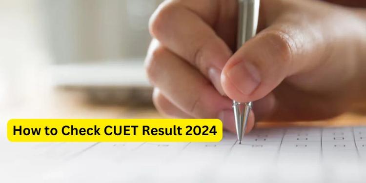 Amity Online CUET Result 2025