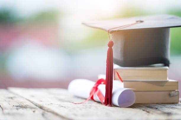 Amity Online Understanding the Curriculum of Online Bachelor of Arts Programs