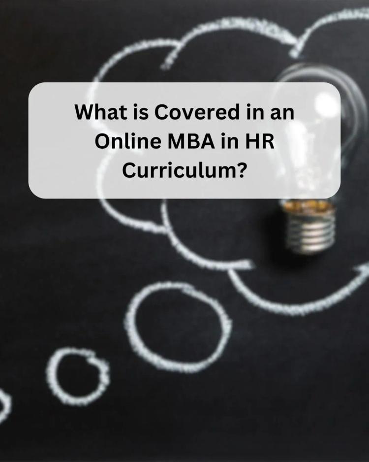 Amity Online Online MBA HR Curriculum