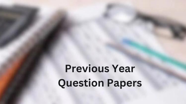 Amity Online Previous Year Question Papers