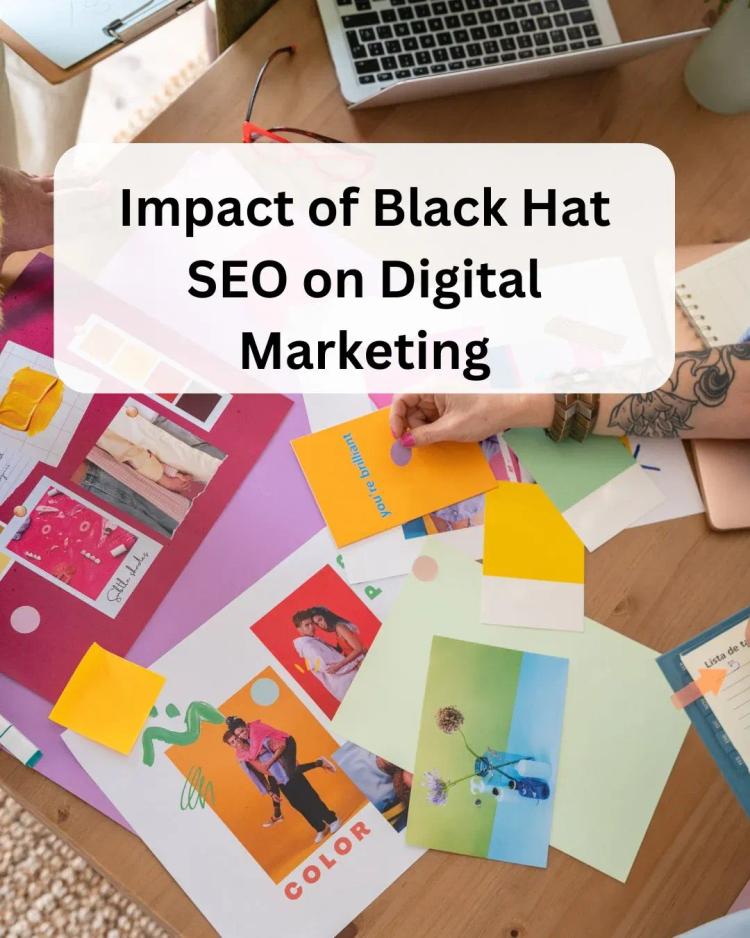 Amity Online black hat SEO