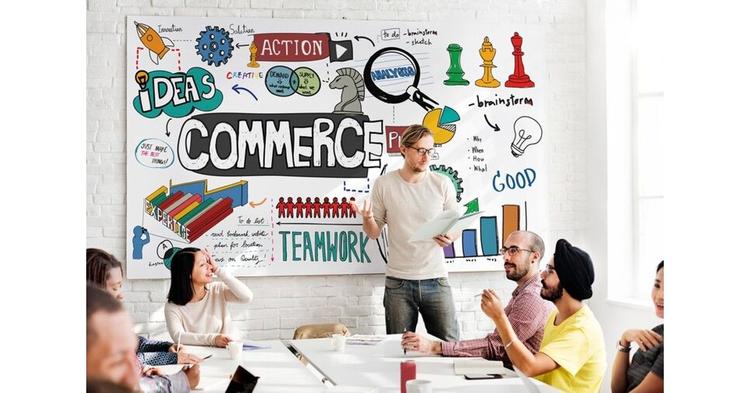 Amity Online Career option After 12th